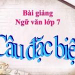 Soạn bài Câu đặc biệt