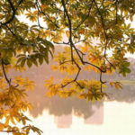 Vẻ đẹp của bức tranh mùa thu trong bài ” Sang thu “