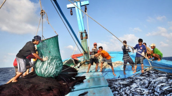 Phát triển tổng hợp kinh tế và bảo vệ tài nguyên Môi trường biển đảo